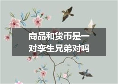 商品和货币是一对孪生兄弟对吗