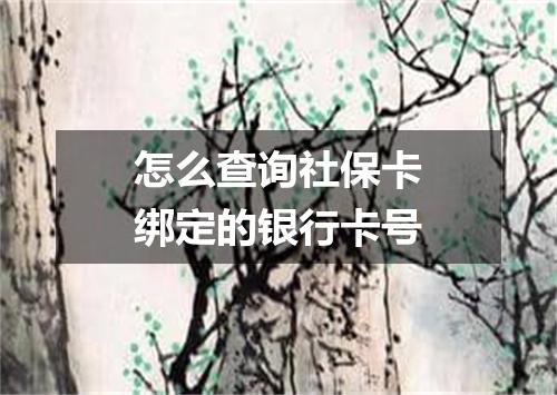怎么查询社保卡绑定的银行卡号