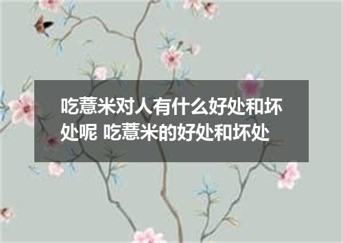 吃薏米对人有什么好处和坏处呢 吃薏米的好处和坏处