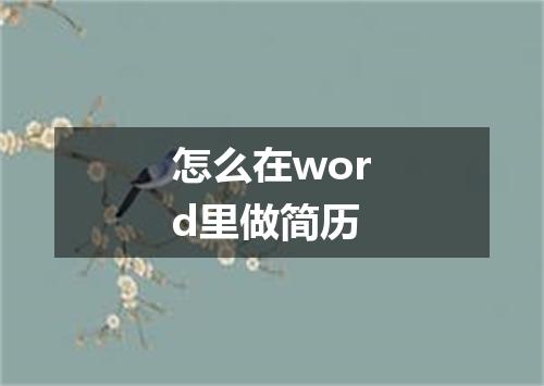 怎么在word里做简历