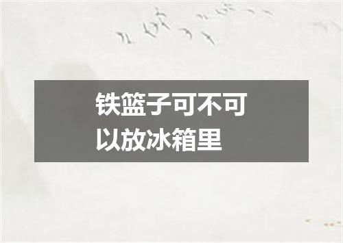 铁篮子可不可以放冰箱里