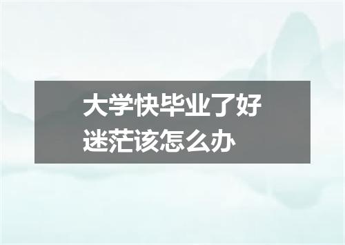 大学快毕业了好迷茫该怎么办