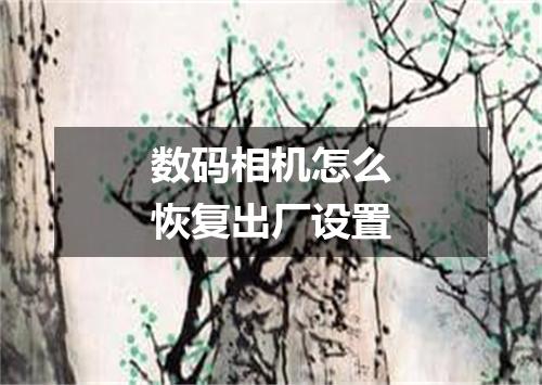 数码相机怎么恢复出厂设置