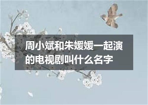 周小斌和朱媛媛一起演的电视剧叫什么名字