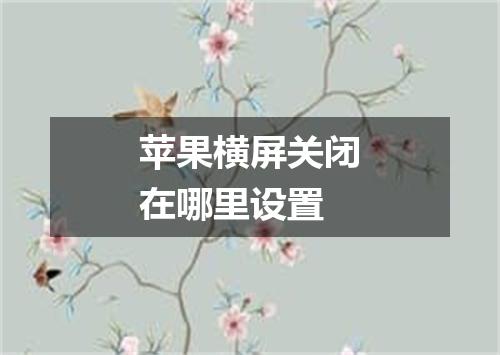苹果横屏关闭在哪里设置