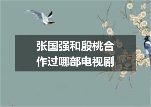 张国强和殷桃合作过哪部电视剧