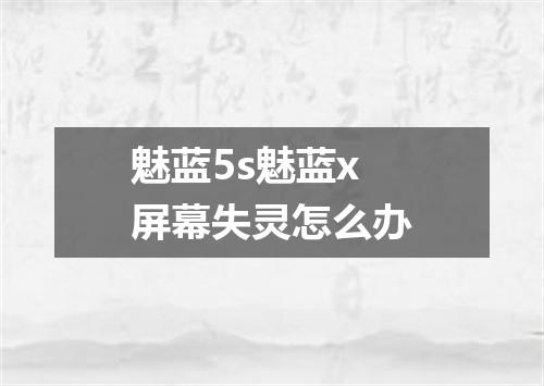 魅蓝5s魅蓝x屏幕失灵怎么办