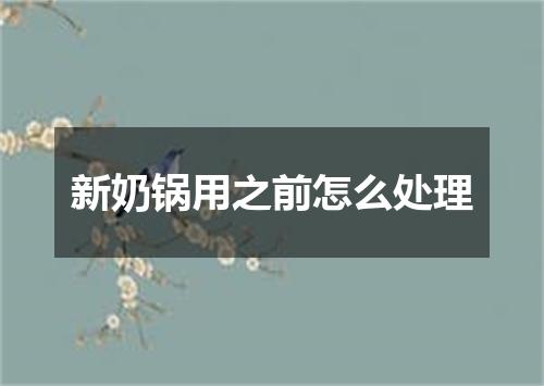 新奶锅用之前怎么处理