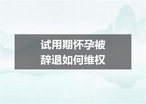 试用期怀孕被辞退如何维权