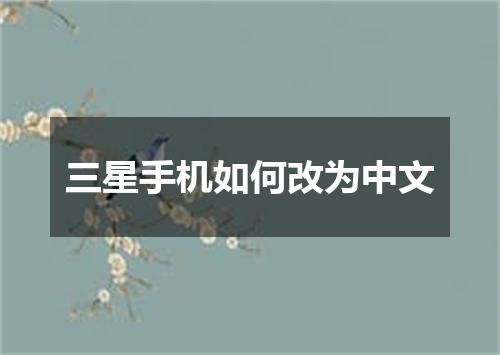 三星手机如何改为中文