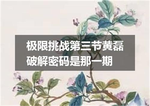 极限挑战第三节黄磊破解密码是那一期