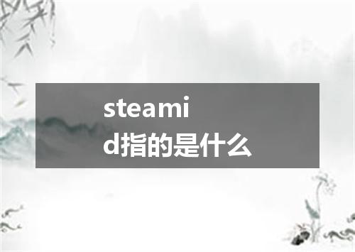 steamid指的是什么