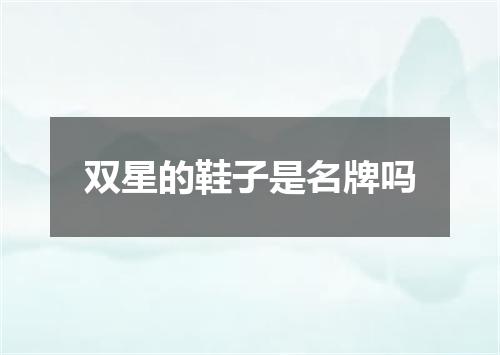 双星的鞋子是名牌吗