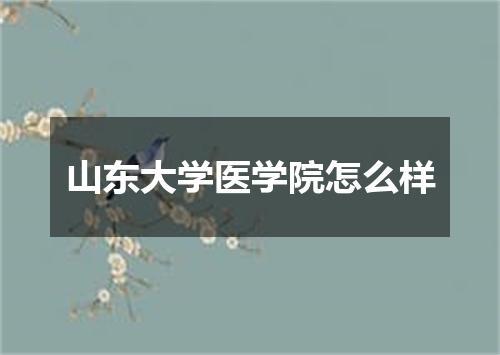 山东大学医学院怎么样