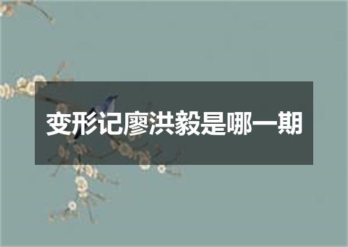 变形记廖洪毅是哪一期