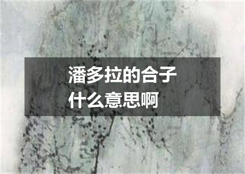 潘多拉的合子什么意思啊