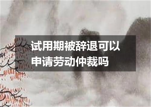 试用期被辞退可以申请劳动仲裁吗