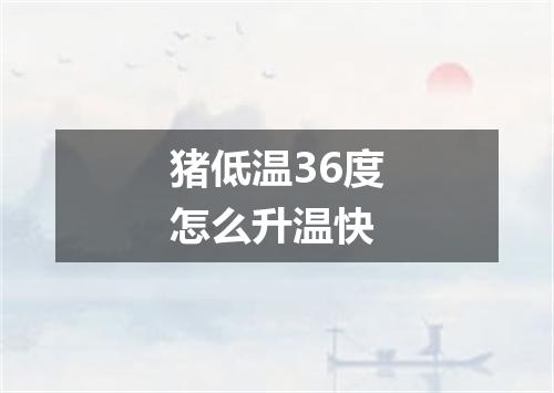 猪低温36度怎么升温快