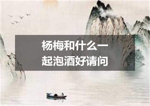 杨梅和什么一起泡酒好请问