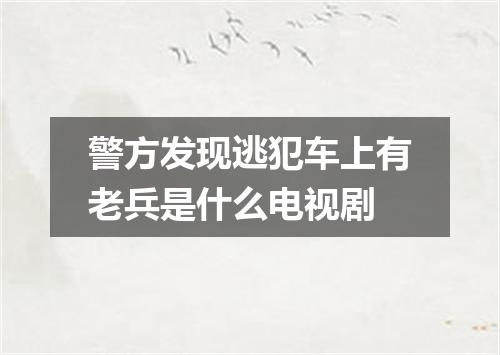 警方发现逃犯车上有老兵是什么电视剧