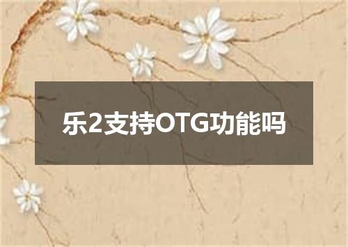 乐2支持OTG功能吗