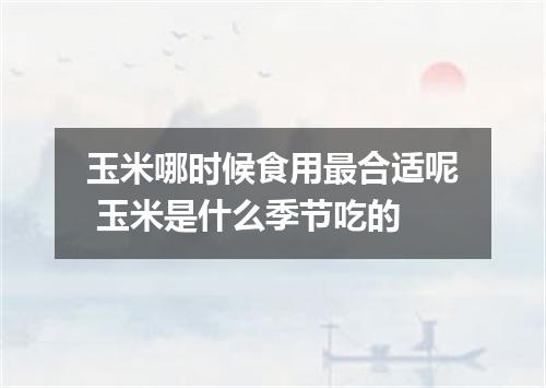 玉米哪时候食用最合适呢 玉米是什么季节吃的