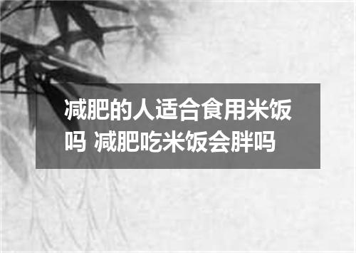 减肥的人适合食用米饭吗 减肥吃米饭会胖吗