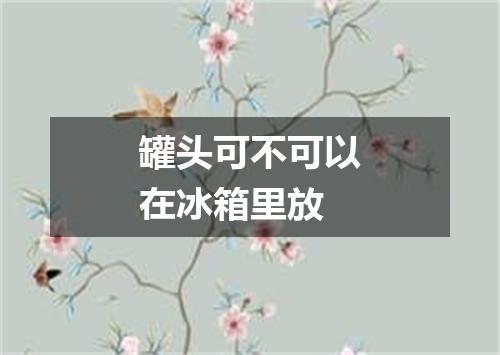 罐头可不可以在冰箱里放