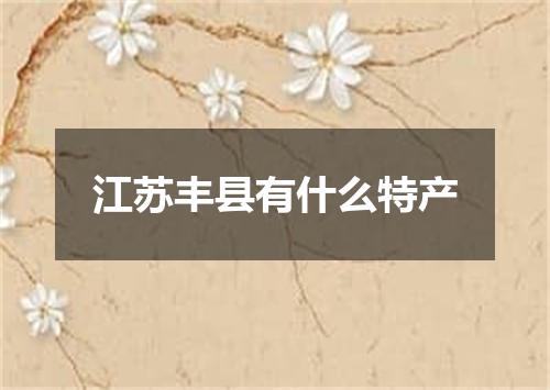 江苏丰县有什么特产
