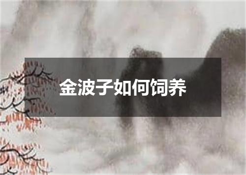 金波子如何饲养