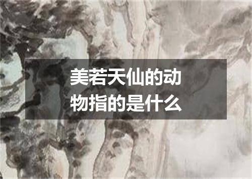 美若天仙的动物指的是什么