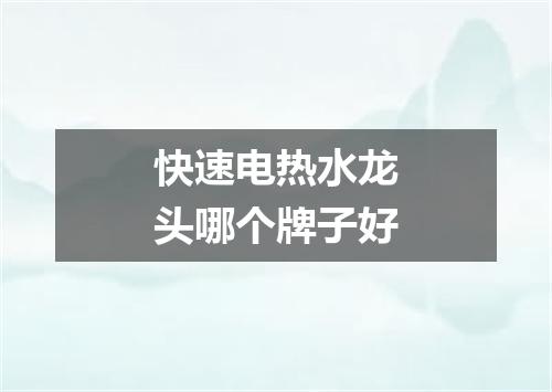 快速电热水龙头哪个牌子好