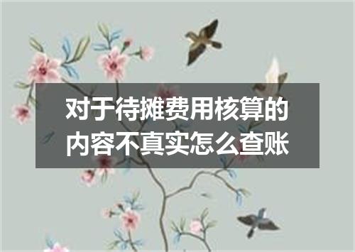 对于待摊费用核算的内容不真实怎么查账