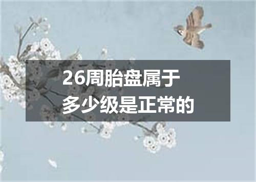 26周胎盘属于多少级是正常的
