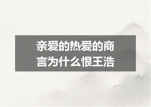 亲爱的热爱的商言为什么恨王浩