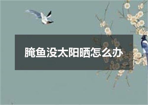 腌鱼没太阳晒怎么办