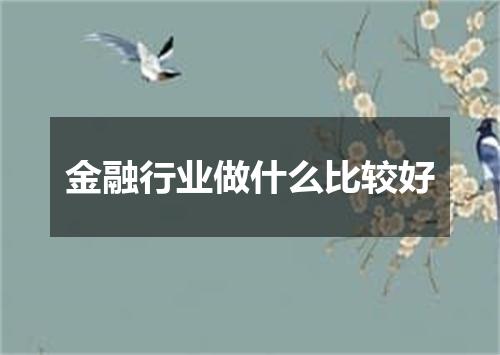 金融行业做什么比较好