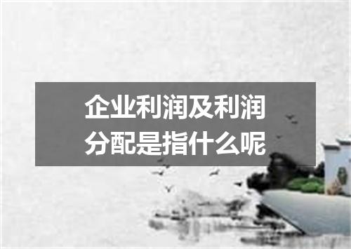 企业利润及利润分配是指什么呢