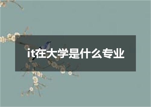 it在大学是什么专业