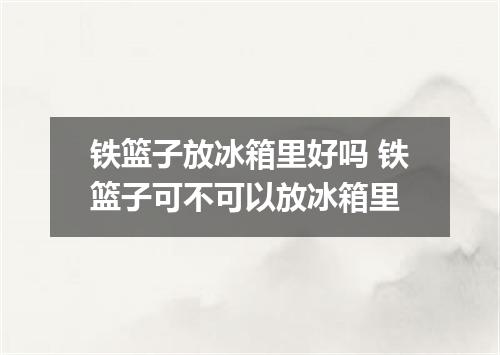 铁篮子放冰箱里好吗 铁篮子可不可以放冰箱里