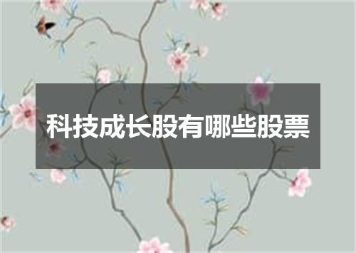科技成长股有哪些股票