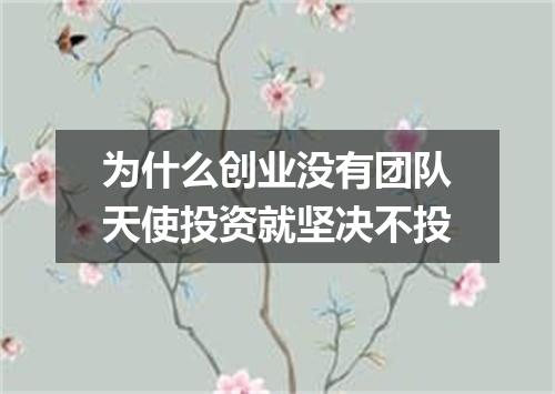 为什么创业没有团队天使投资就坚决不投