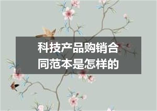 科技产品购销合同范本是怎样的