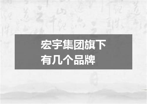 宏宇集团旗下有几个品牌