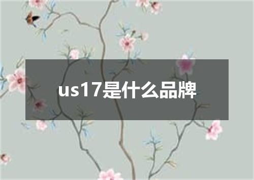 us17是什么品牌