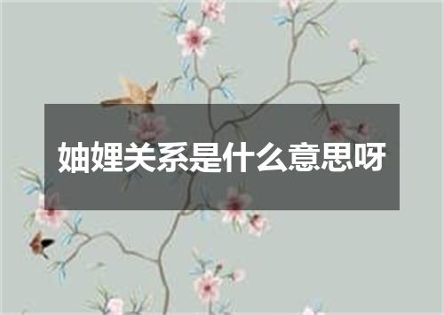 妯娌关系是什么意思呀