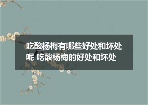 吃酸杨梅有哪些好处和坏处呢 吃酸杨梅的好处和坏处