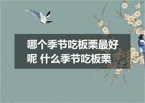 哪个季节吃板栗最好呢 什么季节吃板栗