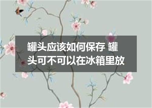 罐头应该如何保存 罐头可不可以在冰箱里放