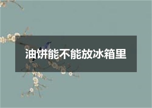 油饼能不能放冰箱里